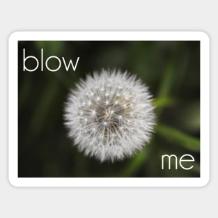 Blow Me Sticker